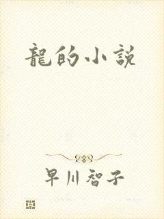 龙的小说