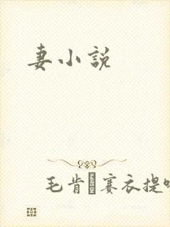 妻小说