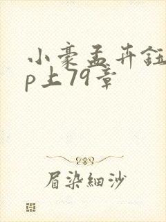 小豪孟卉钰慧三p上79章
