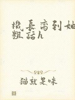 机长脔到她哭h粗话h