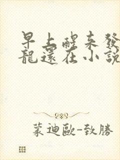 早上醒来发现巨龙还在小说