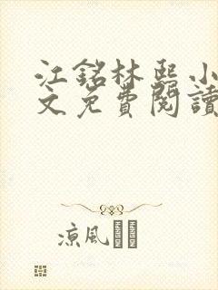 江铭林熙小说全文免费阅读