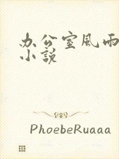 办公室风雨完整小说