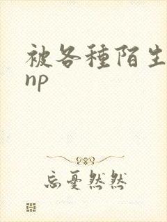 被各种陌生人 np