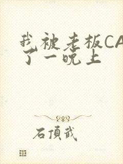 我被老板CAO了一晚上