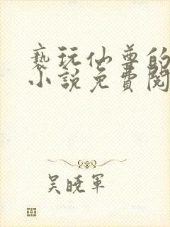 亵玩仙尊的道侣小说免费阅读