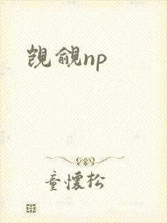 觊觎np