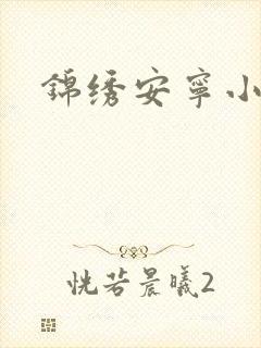 锦绣安宁小说