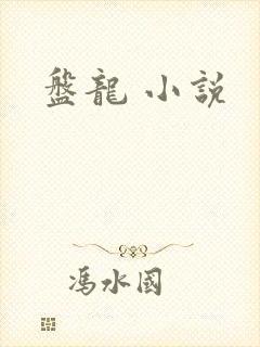 盘龙 小说