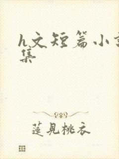 h文短篇小说合集