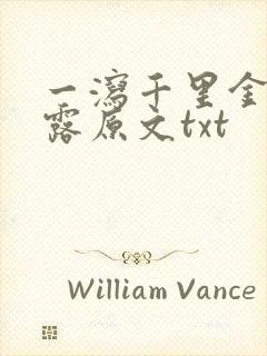 一泻千里金银花露原文txt