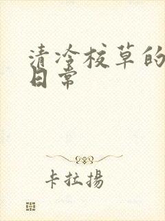 清冷校草的抹布日常