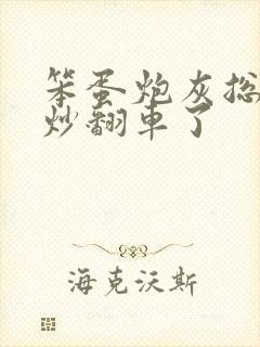 笨蛋炮灰总被爆炒翻车了