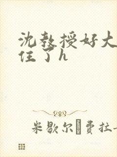 沈教授好大含不住了h