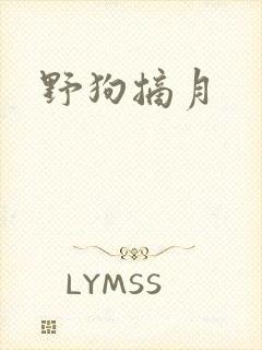 野狗摘月
