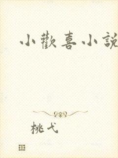 小欢喜小说