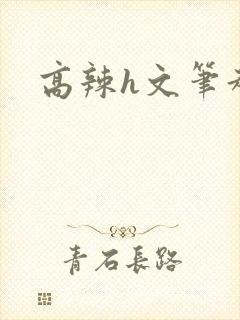高辣h文笔趣阁