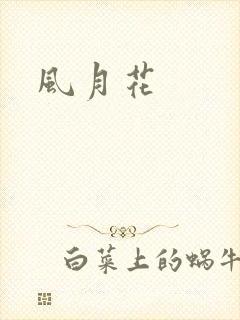 风月花