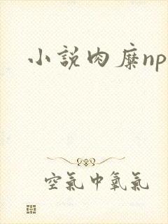 小说肉糜np