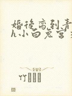 婚后脔到青梅哭h小白兔宫交h