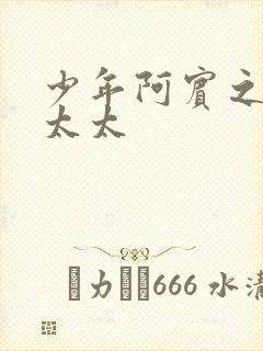 少年阿宾之房东太太