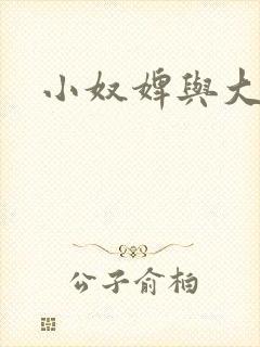 小奴婢与大少爷