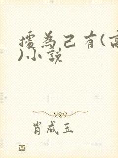 据为己有(高干)小说