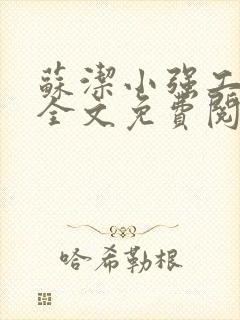 苏洁小强工地情全文免费阅读