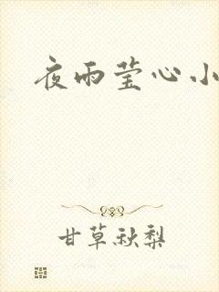 夜雨莹心小说