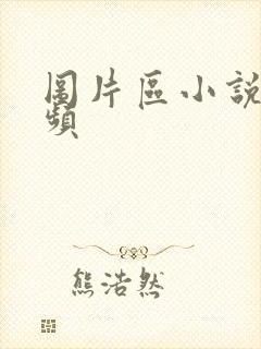 图片区小说区视频