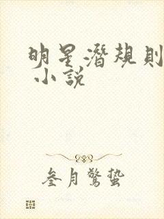 明星潜规则之皇 小说