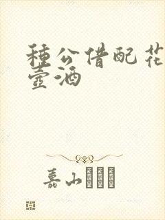 种公借配花间一壶酒