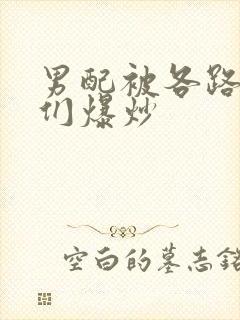 男配被各路大佬们爆炒