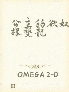 公主的欲奴h四根双龙