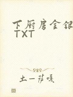 下厨房金银花露 TXT