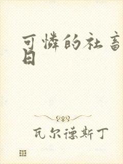 可怜的社畜东度日