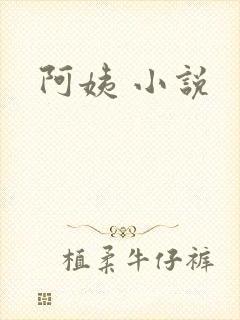 阿姨 小说