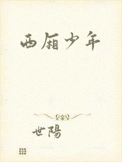 西厢少年