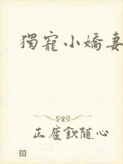 独宠小娇妻