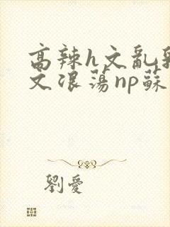 高辣h文乱乳h文浪荡np苏夏