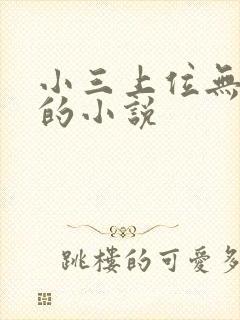 小三上位无三观的小说