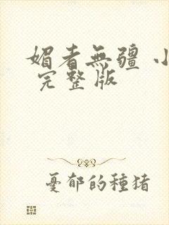 媚者无疆 小说 完整版