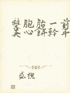 双胞胎一前一后夹心饼干年下