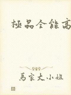极品全能高手