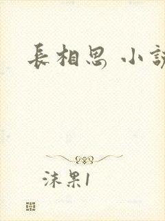 长相思 小说