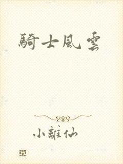 骑士风云