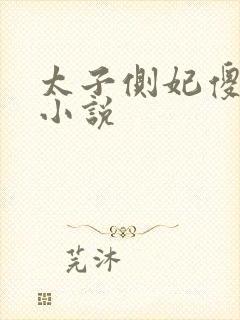 太子侧妃傻乎乎小说