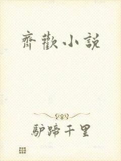 齐欢小说
