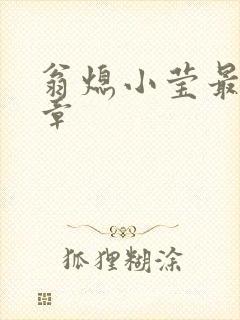 翁熄小莹最新节章