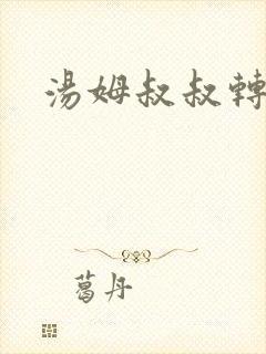 汤姆叔叔转接口